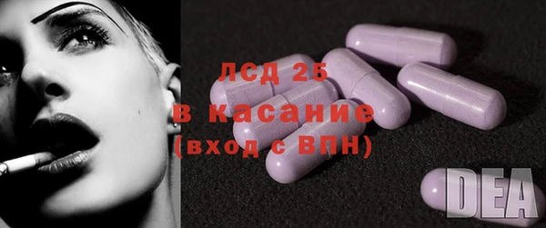 СК Новозыбков