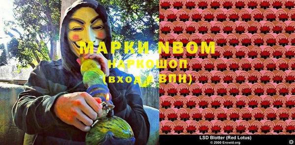 СК Новозыбков
