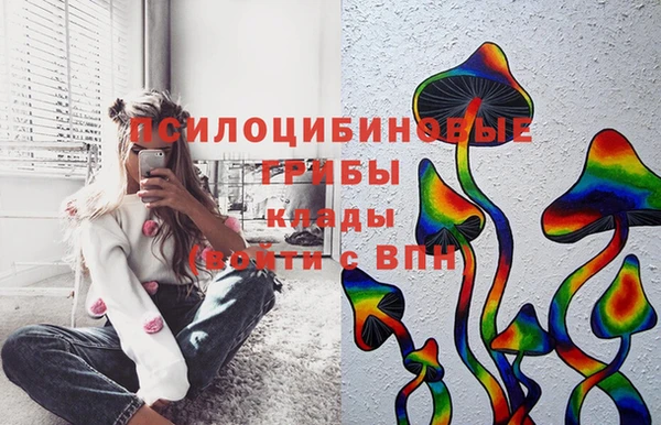 гидра Новокубанск