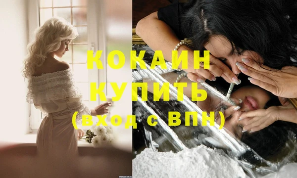 меф Новодвинск