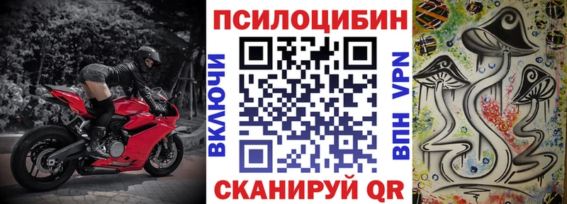 хочу   МЕГА как войти  Псилоцибиновые грибы прущие грибы  Нефтегорск 