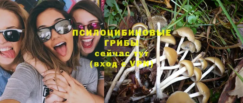 Галлюциногенные грибы Magic Shrooms  Нефтегорск 